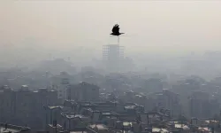 Izmir'in çevre kirliliğinde zirve ilçesine yeni darbe: Koru alanına GES projesi