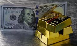 Ne Dolar ne Euro: TÜİK 2025'in getiri şampiyonunu açıkladı