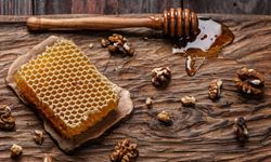 Bal rekoltesinde yüzde 50’lik düşüş: Baharı görmezsek arı da kalmaz!