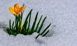 Cemre nedir? Cemre ne zaman düşecek?