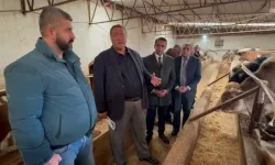 CHP’den hükümete ithal hayvan çıkışı