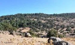 CHP’li Güç Yamanlar tartışmalarına değindi: Belediye başkanlarının basın üzerinden konuşmasını doğru bulmuyorum