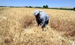 TZOB Başkanı Bayraktar acı tabloyu anlattı: 2025 çiftçilerin felaket yılı oldu!