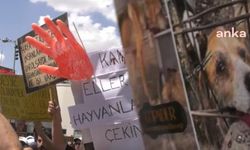 Köpeklere cinsel saldırıda bulunarak öldürmüştü: Doktor yeniden yargılanacak!