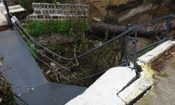 Devrilen çam ağacı dereyi kapattı: Taşkın son anda önlendi