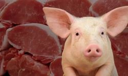 Aydın’da cami önünde domuz eti dağıtıldı iddiası