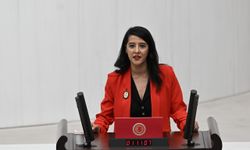 EMEP’li Karaca meclise taşıdı: Çanakkale’de halkın orman kampı satışa çıkarıldı!