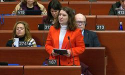 Gökçe Gökçen’den Avrupa Konseyi’nde: Kimdi bu kırmızı yelekliler?