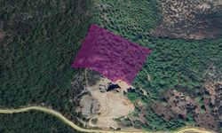 DSİ'den Muğla'da ormanlık alana maden ocağı projesi