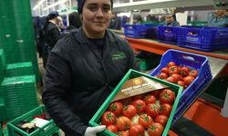 ŞOK Marketler’de pestisit analizi artıyor: Domatesten ardından biberler de analiz ediliyor