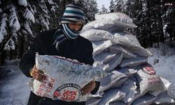 İhtiyaç sahiplerine ısınma yardımı: Kömür dağıtım detayları belli oldu