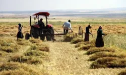 Çiftçi-Sen: İktidar çiftçileri daha da borçlu hale getirecek kararlar çıkarıyor