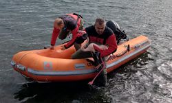 İzmir’de çevre ihmali tehlike yarattı: Ayağına misina dolanan flamingo kurtarıldı