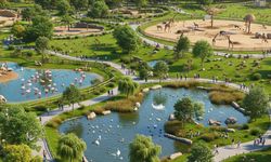 Yarıyıl tatilinde çocuklarla İzmir rotası: 15 tatilde gezilecek yerler