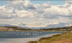 İzmir’in ortasında saklı bir ada: Leukai Antik Kenti’nin şaşırtıcı hikayesi