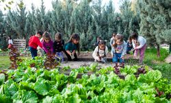 Çevre bilinci anaokulunda başlıyor: Karşıyaka Yeşil Bayrak yolunda