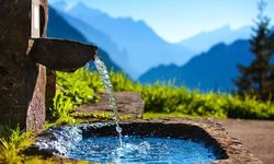 İzmir Valiliği'nden kaynak suyu kiralama ihalesi!