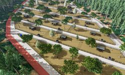 Kemalpaşa’da sokak hayvanları için büyük dönüşüm