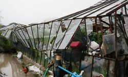 Muğla’da hortum ve dolu seraları vurdu: Üreticiler endişeli