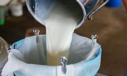 Kooperatif Başkanı'ndan süt fiyatı değerlendirmesi: Üretici sütünü bu fiyatın altında vermemeli!