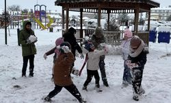 Valiliklerden peş peşe açıklama: 2 Ocak’ta eğitime ara verilen iller belli oldu