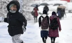 Valilik duyurdu: Yarın okullar tatil