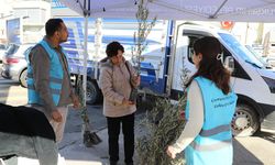 Menderes Belediyesi’nden doğa dostu adım: Atık yağını getir, zeytin fidesini götür