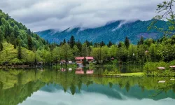 49 yıl yetmedi, şimdi 99 yıl: Milli parklarda özel şirketlere izin tartışması