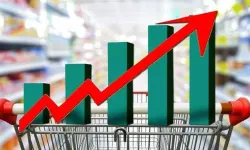 TÜİK 2025 Yaşam Memnuniyeti Araştırması: Hayat pahalılığı, yoksulluk, işsizlik...