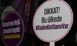 CHP Kadın Kolları: Devlet şiddeti önleme yükümlülüğü yerine getirmiyor!