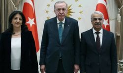 İmralı heyetinden Erdoğan görüşmesi sonrası ilk açıklama