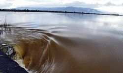 Söke Ziraat Odası Başkanı uyardı: Büyük Menderes taşarsa facia olur!