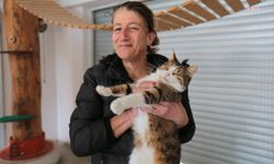 Dünya Kediler Günü’nde, Konak Belediyesi'nden Engelli Kedi Evi'ne ziyaret