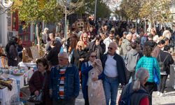 Datça’da Badem Çiçeği Festivali heyecanı