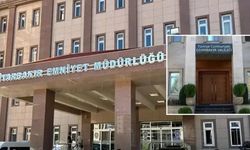 Diyarbakır'daki saldırı girişimi: 2 şüpheli tutuklandı