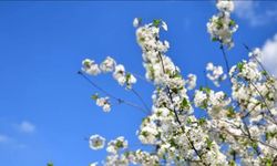 Cemre ne zaman düşecek? 2026 cemre tarihleri belli oldu