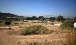 Zeytinlik alana sanayi tesisi projesine ÇED freni!