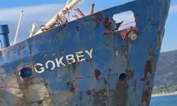 Urla’da para cezası alan gemi hâlâ koyda: Yasalar işlemiyor