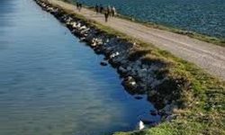 Görüşme sıklığı gündem olmuştu, Kartal sordu: Bilal Saygılı mı doğru söylüyor Cemil Tugay mı?