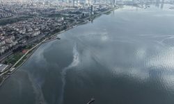 İzmir Körfezi’nde kirlilik alarmı: Gemi kaynaklı mazot ve yağ tehdidi