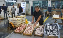 İzmir'e bağlı hallerden rekor:  Su Ürünleri Hali, 2025 yılında 51 bin 699 tonluk işlem hacmine ulaştı