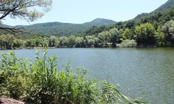 İzmir’de ormanın kalbine hançer girişimine jet iptal!