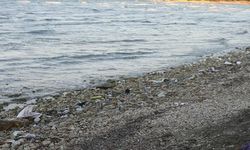 İzmir’de yürek burkan olay Küçük çocuğun cansız bedeni bulundu