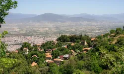 İzmir’in karadut cenneti: Cambazlı Köyü