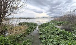 Aydın’daki sel mağduriyeti TBMM gündeminde: Araştırma Komisyonu kurulsun!