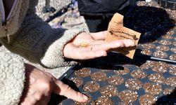 Bornova’nın kent bostanlarında yaz sezonu hazırlıkları başladı