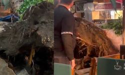 Kemeraltı’nda korkutan olay: Hisar Cami önündeki ağaç devrildi