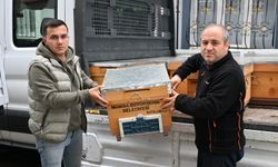 Manisa’da sel mağduru üreticiye destekler sürüyor: Büyükşehir 20 adet arı kovanı teslim etti