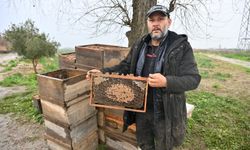 Manisa’da selden etkilenen arıcıya Büyükşehir Belediyesi’nden destek
