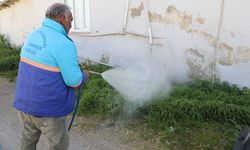 Menderes’te ot ilaçlamaları başladı